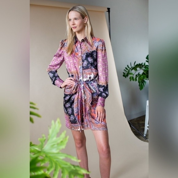 𝅺petersyn Agnes Paisley Print Shirt Dress NWT - Picture 3 of 14